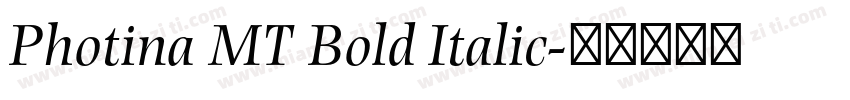 Photina MT Bold Italic字体转换